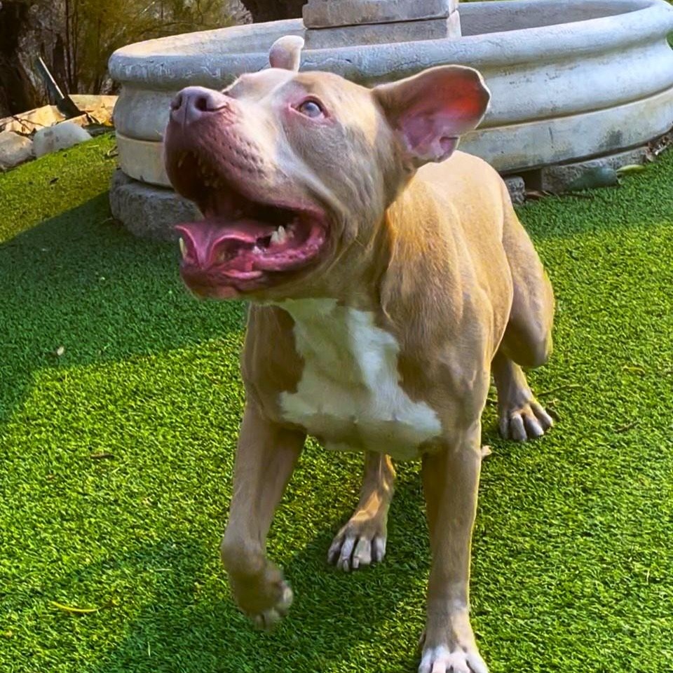 Finn-The Most Wonderful Personality