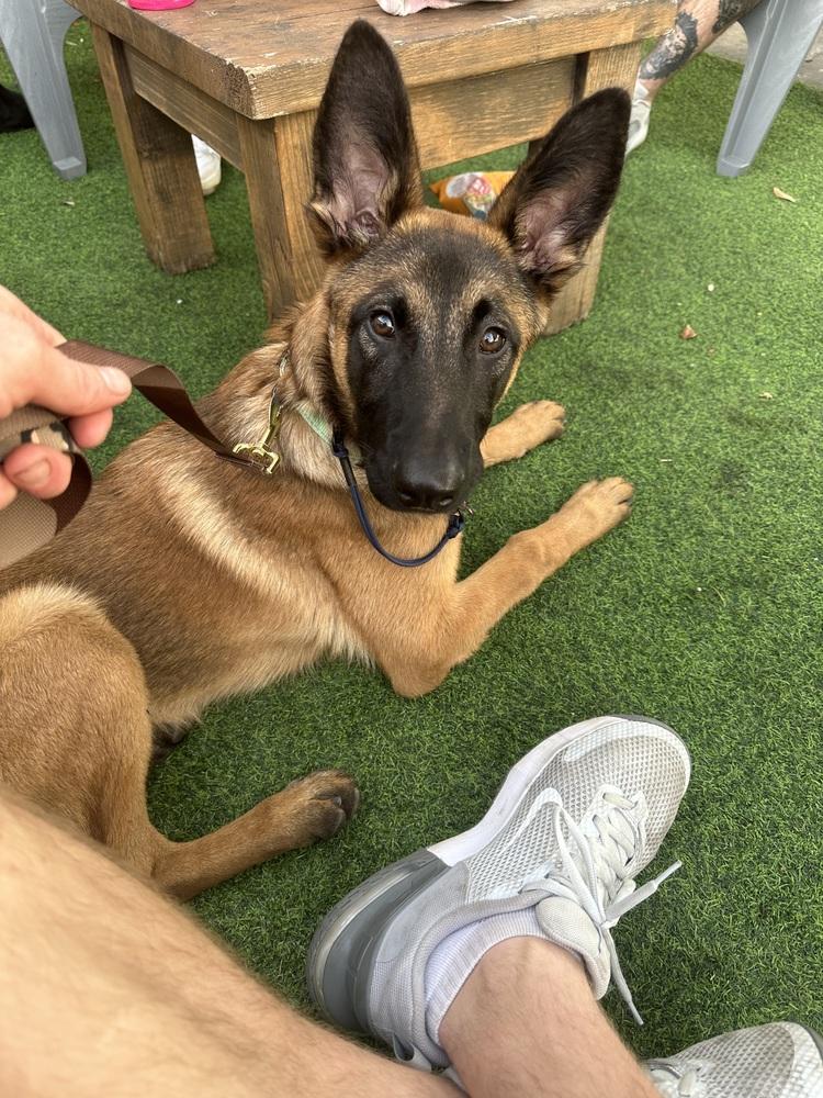 Kodak - Located in FL