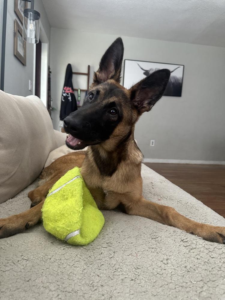 Kodak - Located in FL — thumbnail 2