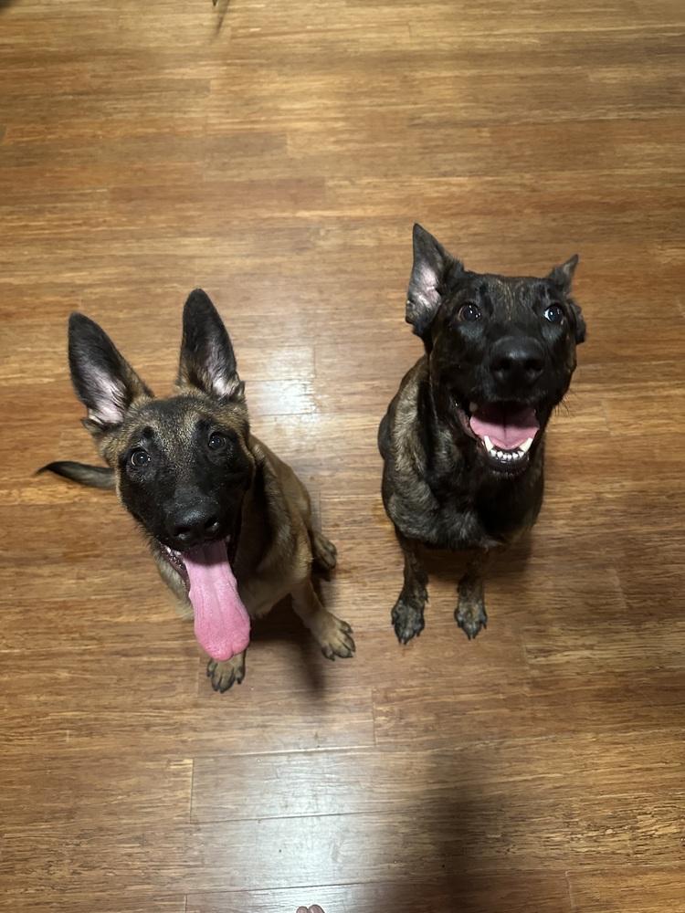 Kodak - Located in FL — thumbnail 4