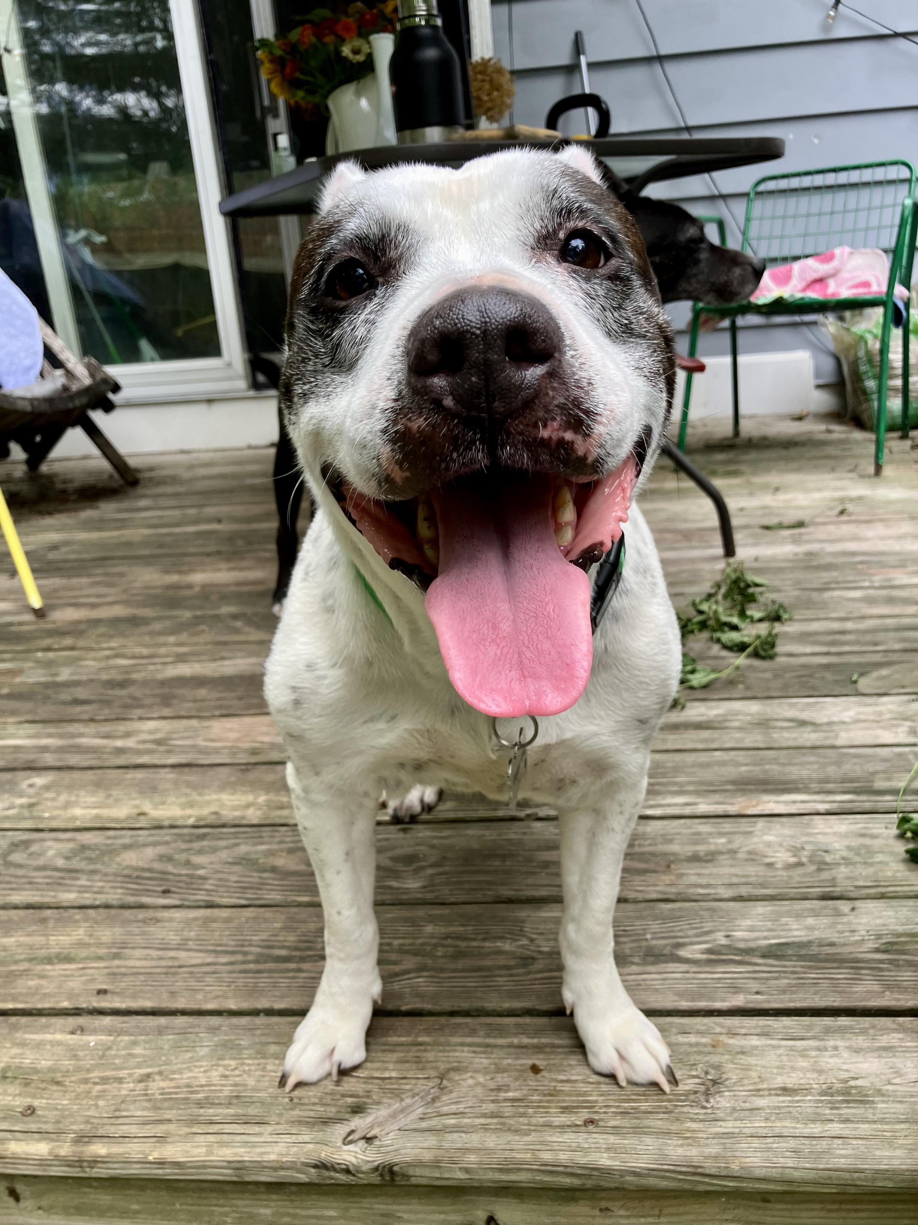 Bettycourtesy Listing thumbnail 6