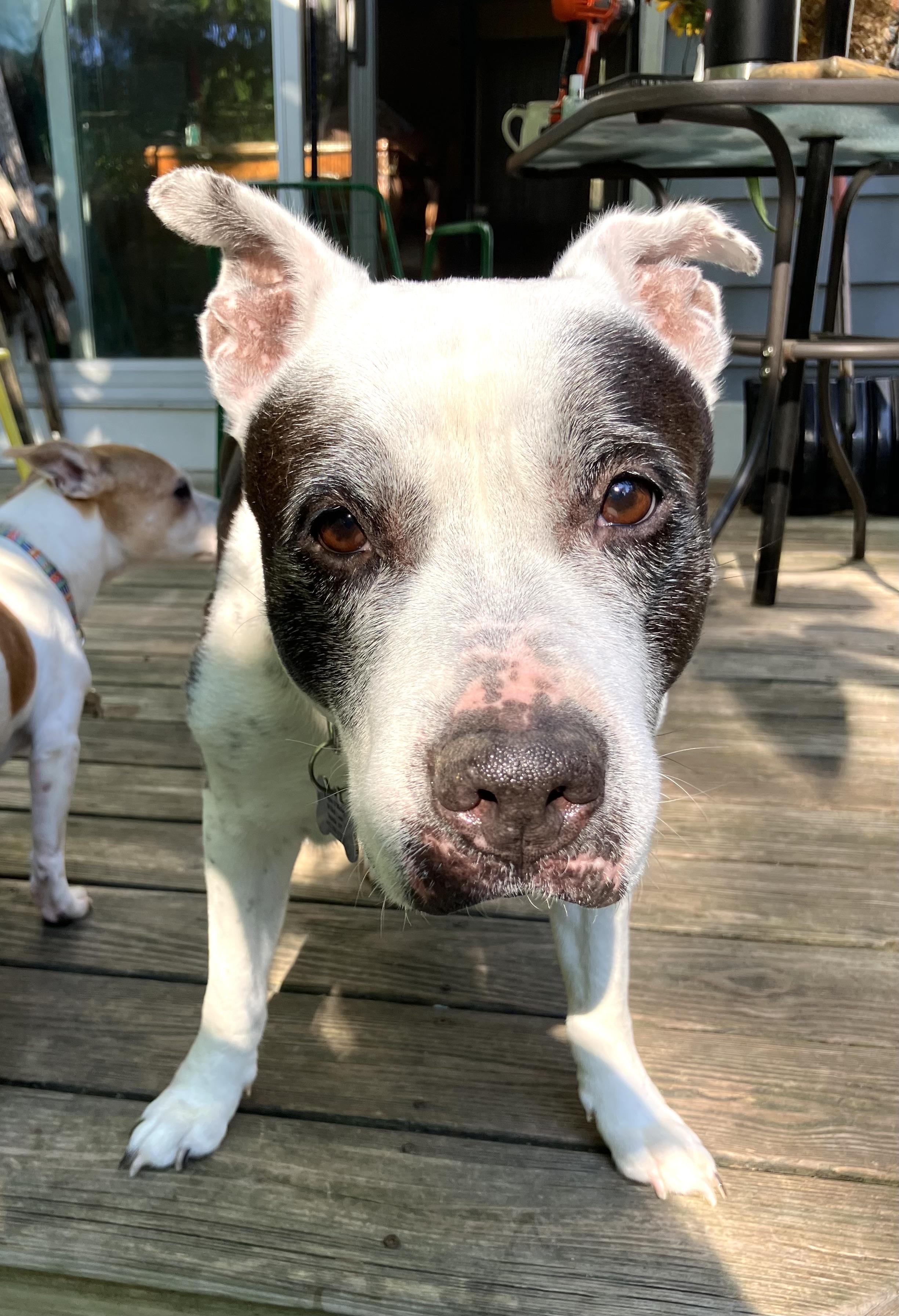 Bettycourtesy Listing