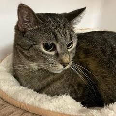 Bellissima--AKA Bella