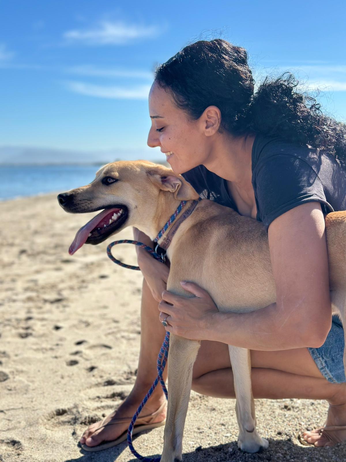 Diego, a Adoptable mixed breed in Portland, OR image 3/6