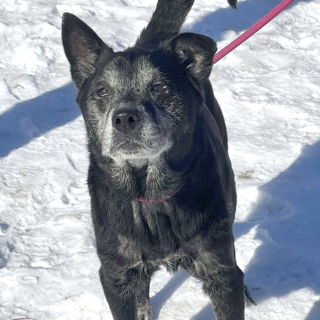 Lester — thumbnail 2