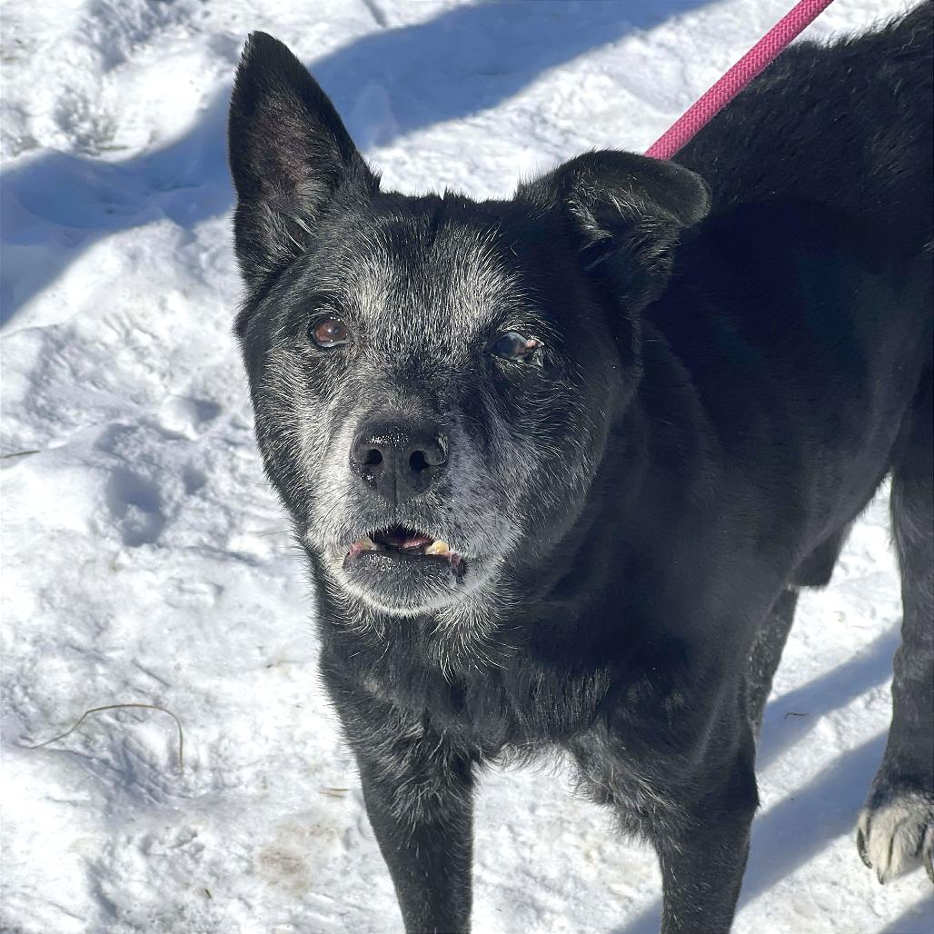 Lester — thumbnail 5