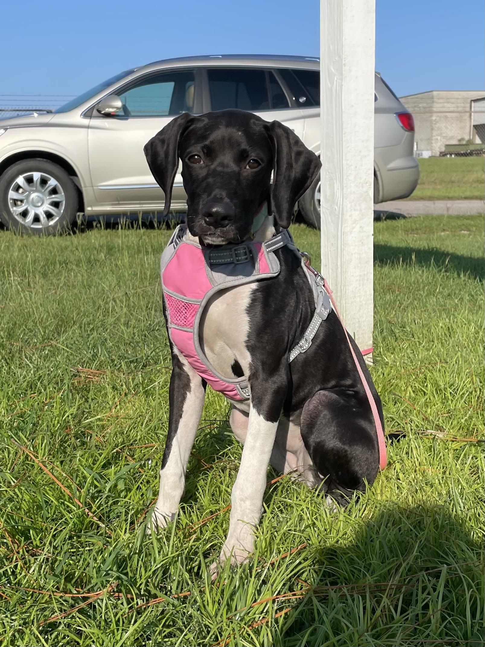 Frida