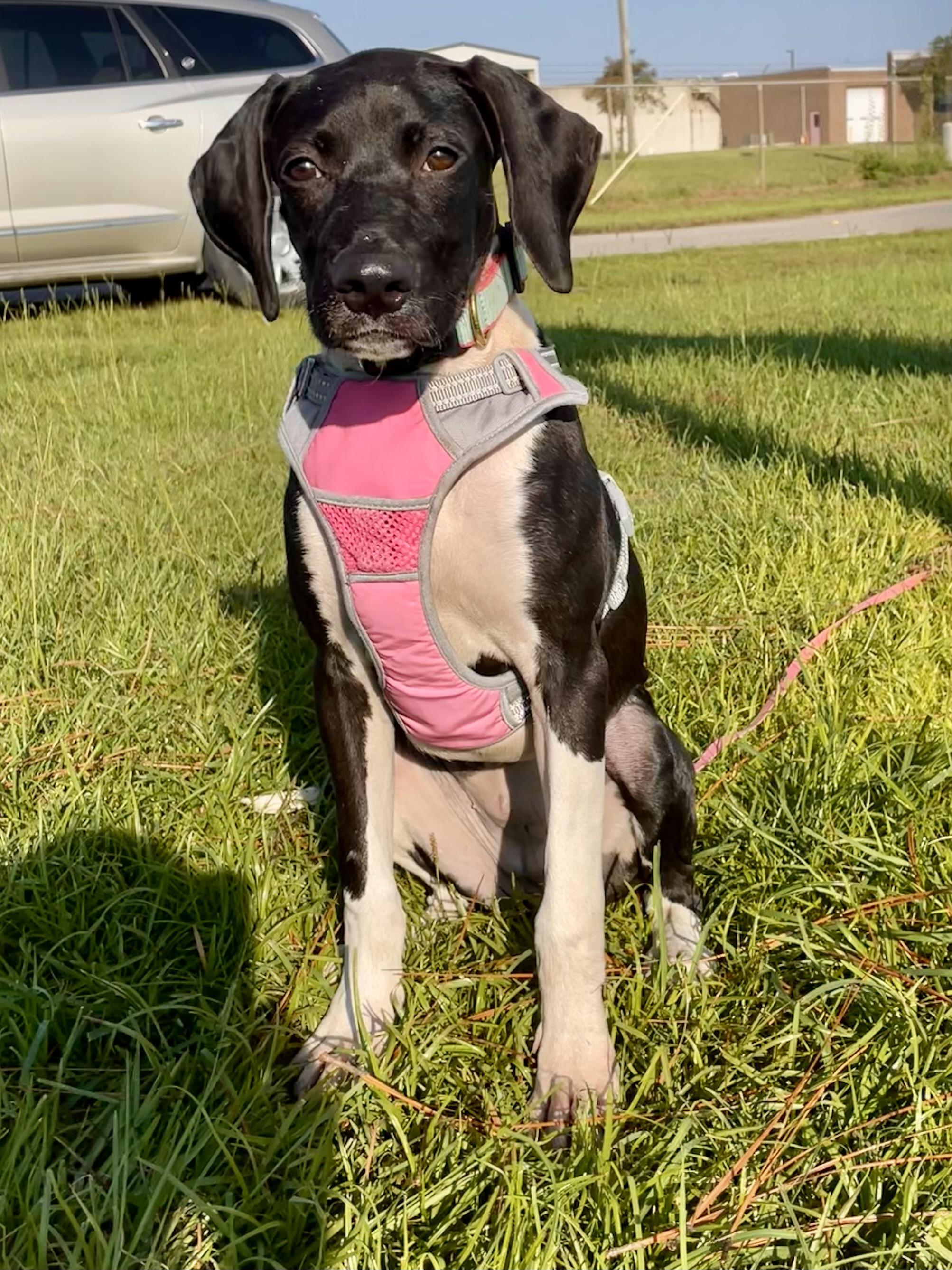 Frida