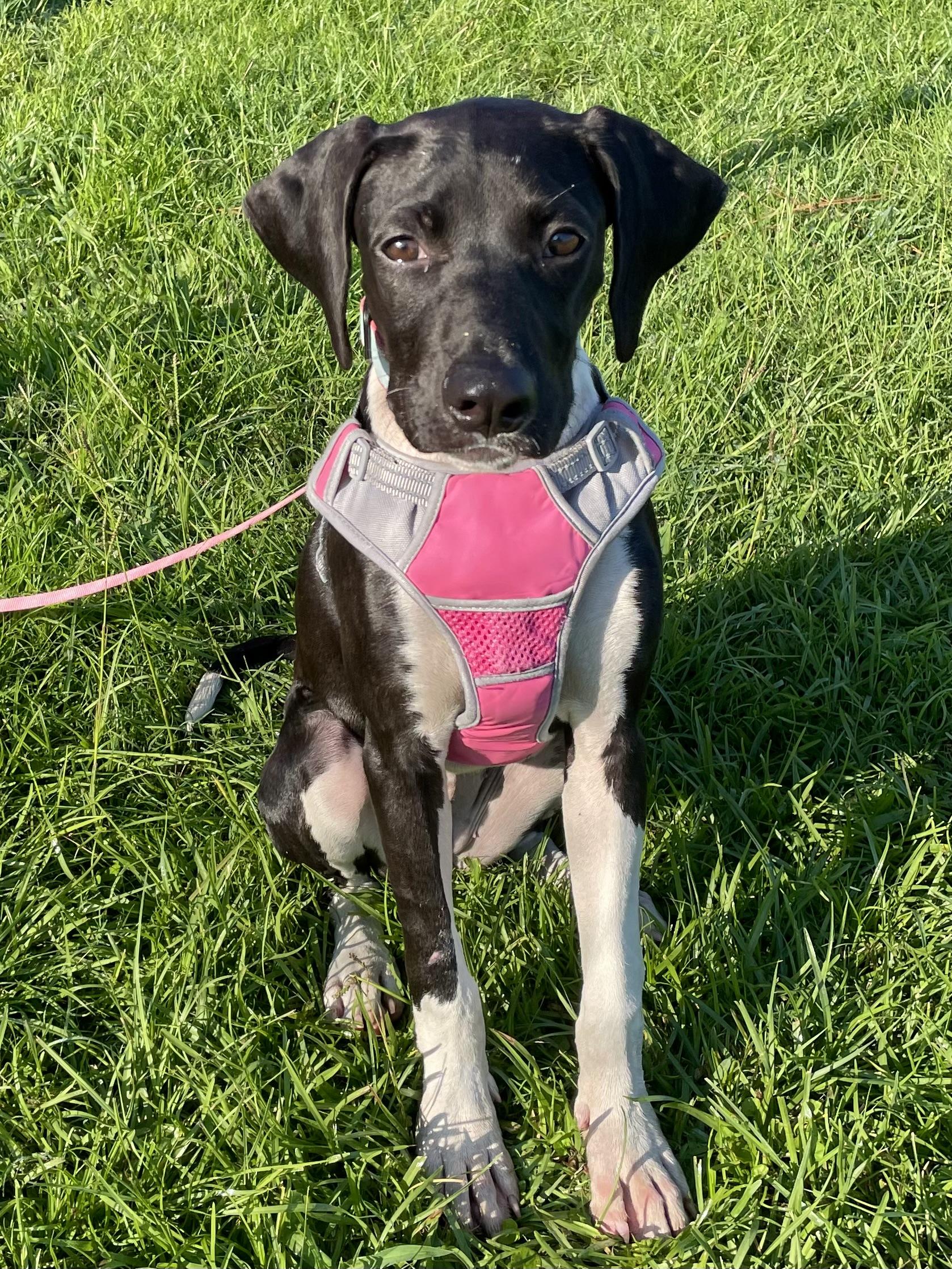 Frida