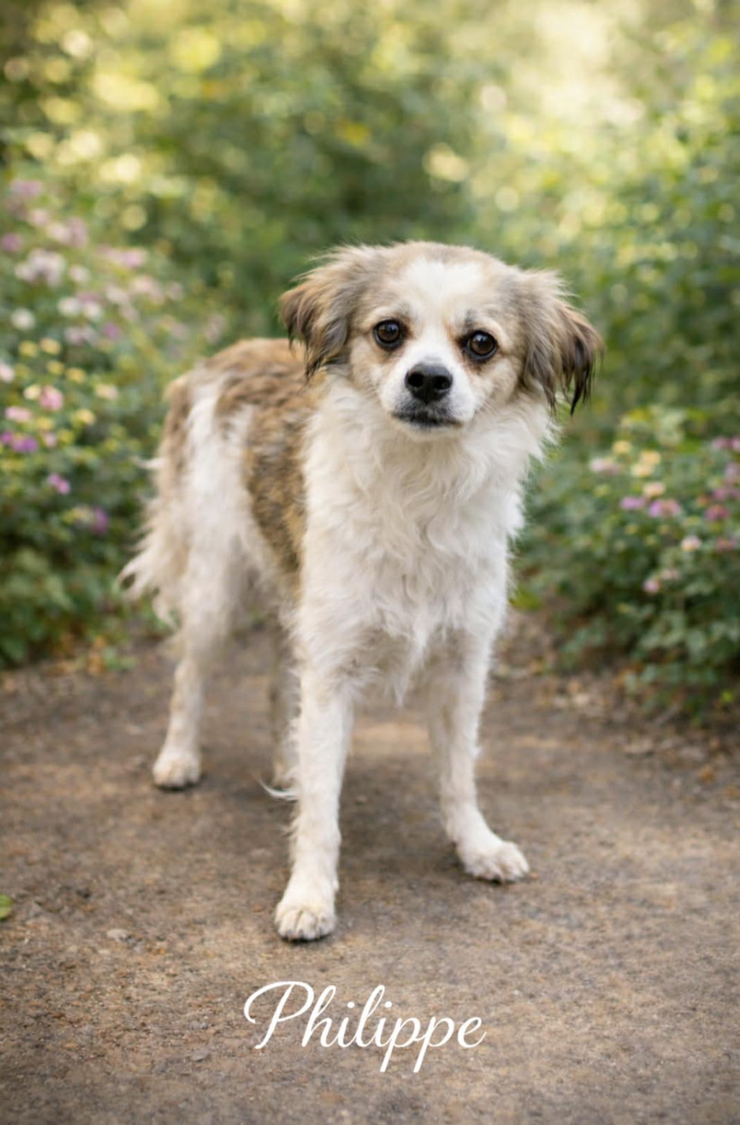 Philippe — thumbnail 5