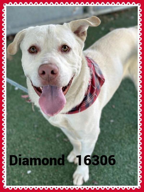 Diamond (56) — thumbnail 3
