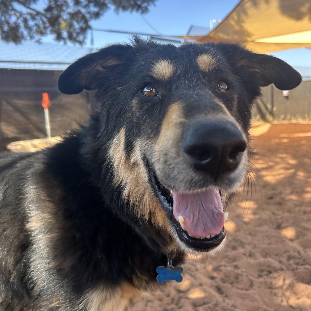 Gruyere — thumbnail 2