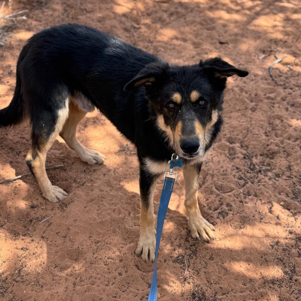 Gruyere — thumbnail 4