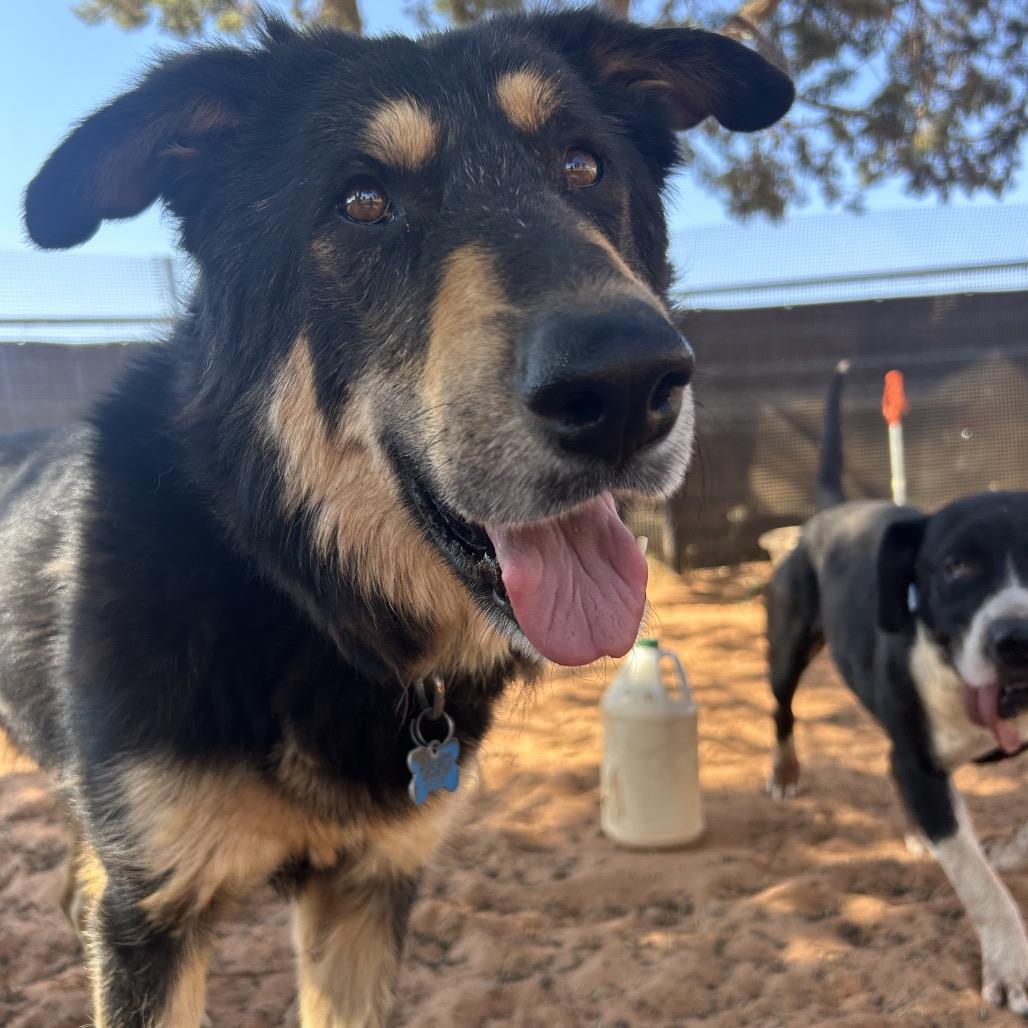 Gruyere — thumbnail 5