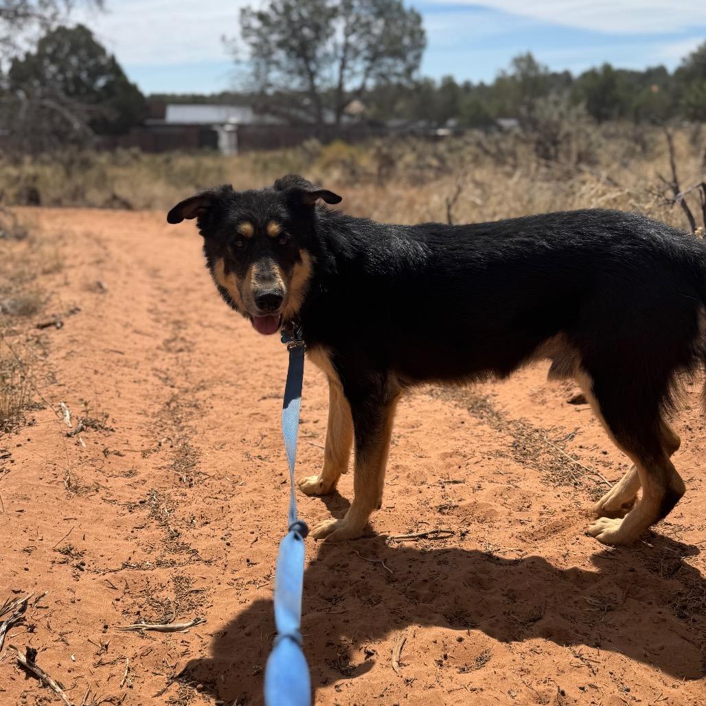 Gruyere — thumbnail 6