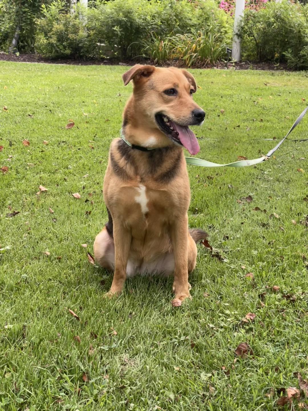 Buffy (in a FOSTER home)