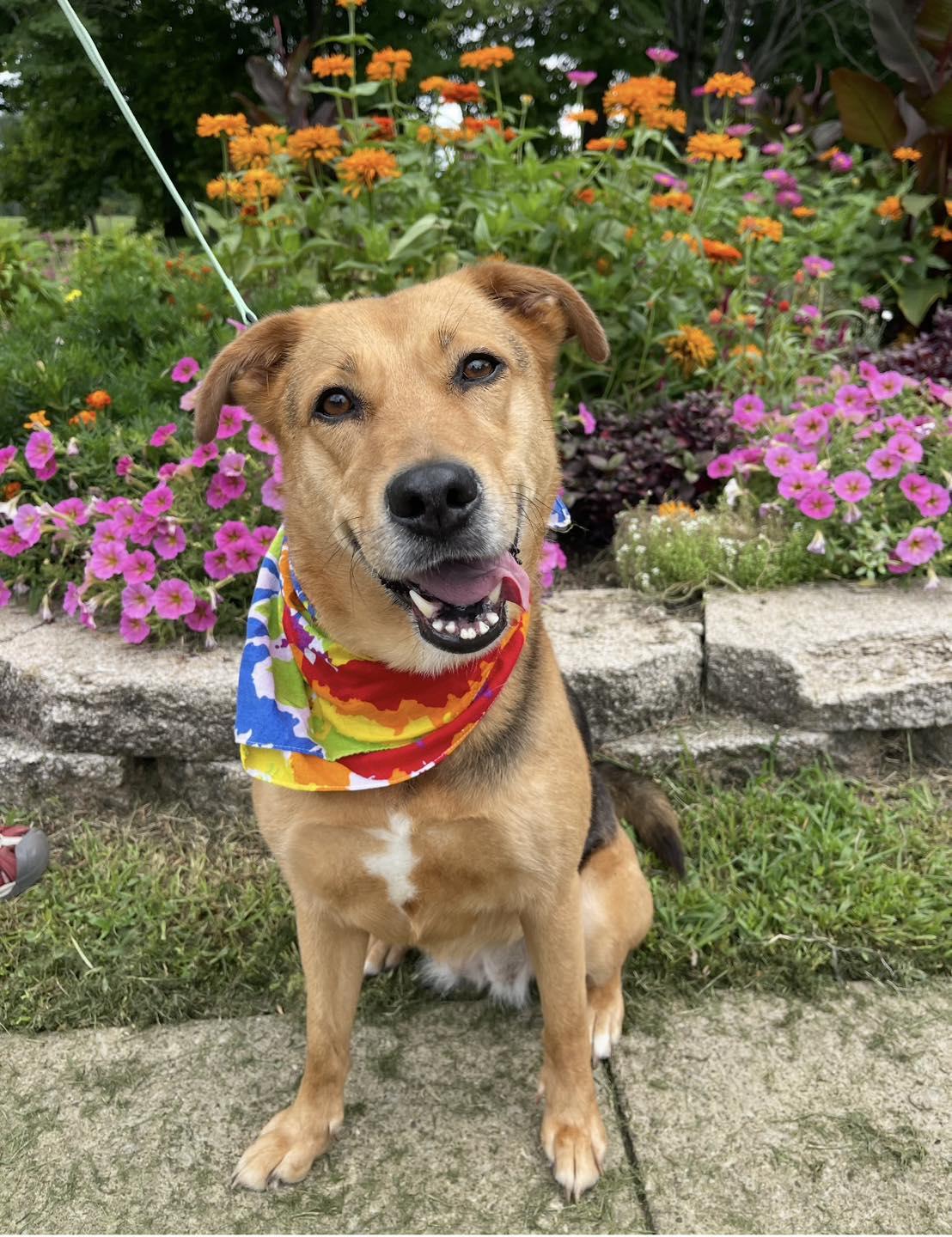 Buffy (in a FOSTER home)