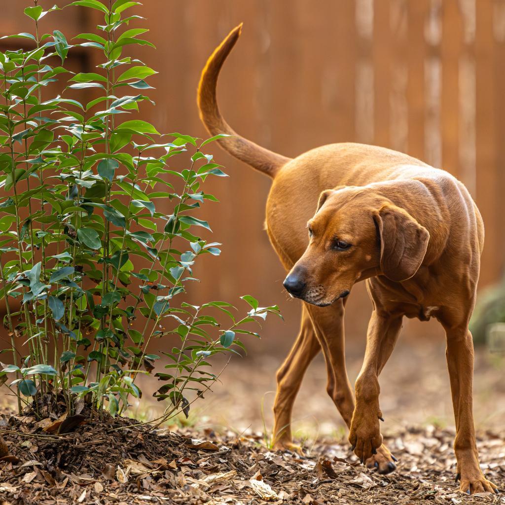 Big Sky (I have a Secret Crush!) — thumbnail 6