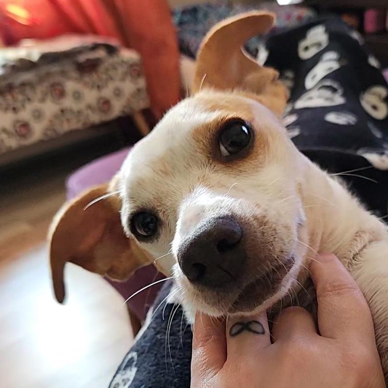 Peanut