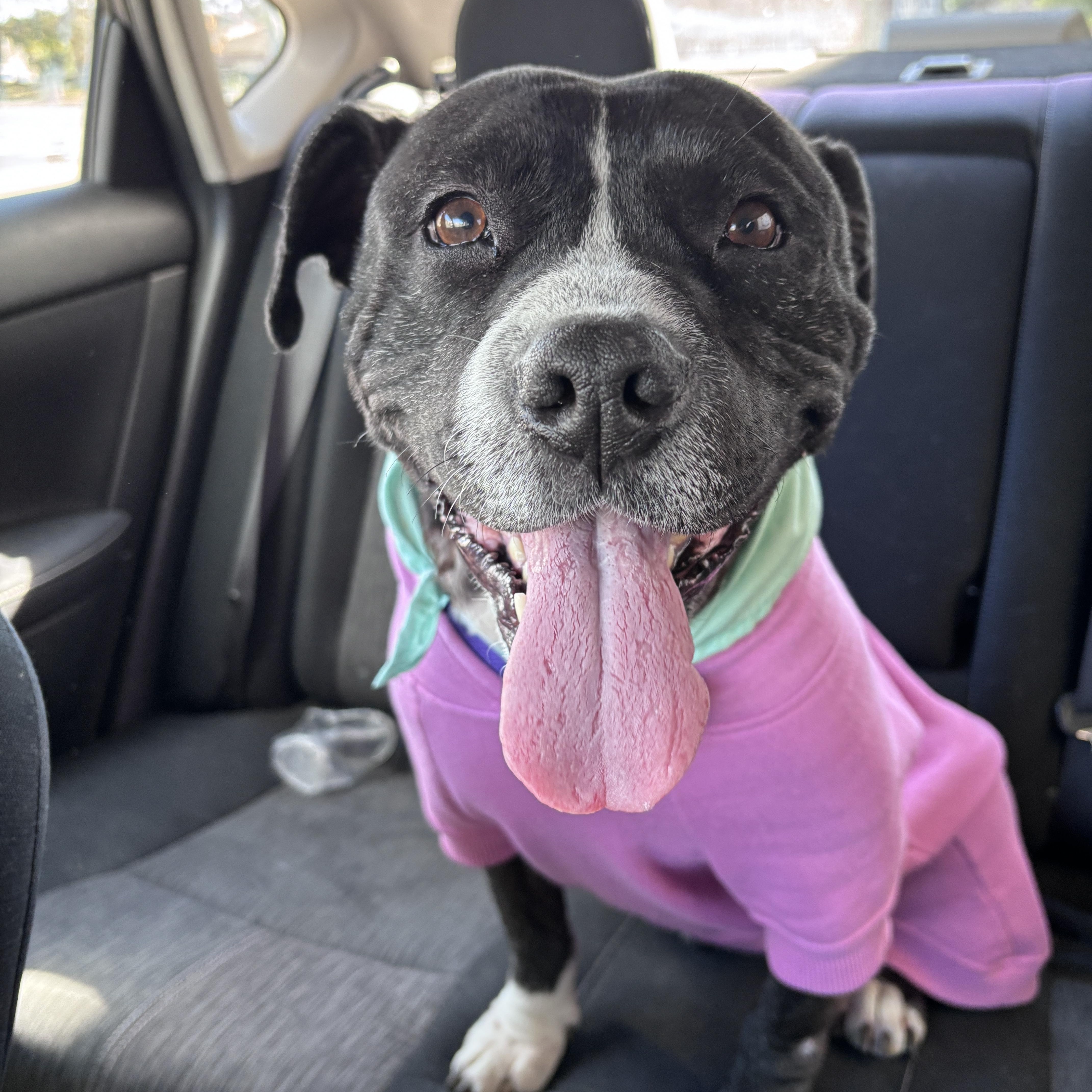 Gertie