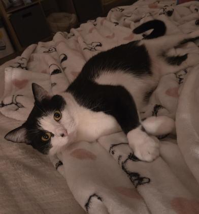 Hera — thumbnail 2