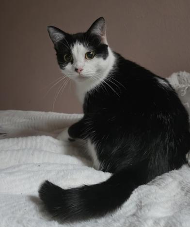 Hera — thumbnail 6