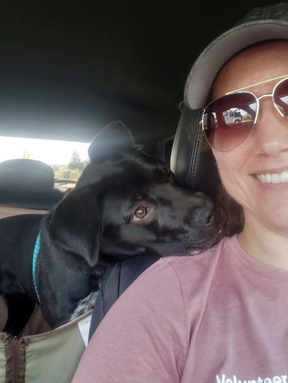 Stella, a Adoptable mixed breed in Oxford, MI image 5/6