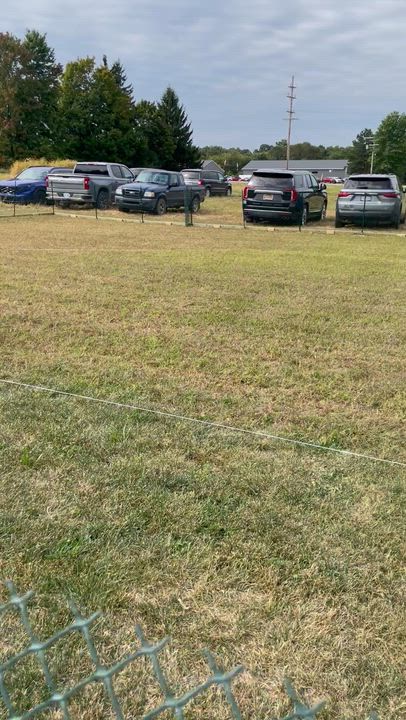 Enlarge Stella, a Adoptable mixed breed in Oxford, MI video 6/6