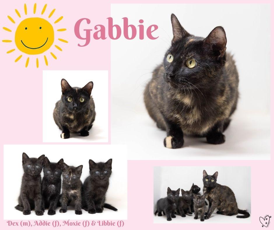 Gabbie photo 5