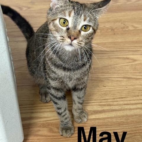 MAY