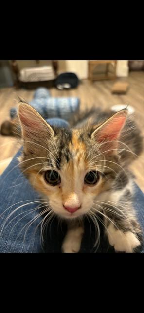 Maggie