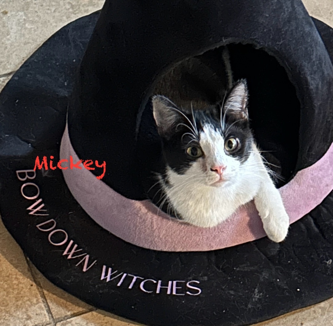 Mickey