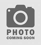 Pretty GIrl, Adoptable, Senior Female Domestic Short Hair.