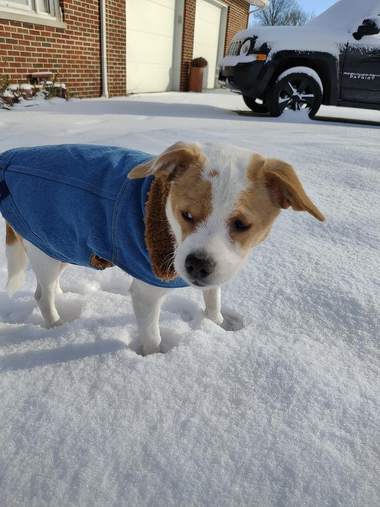 Glimmer — thumbnail 6