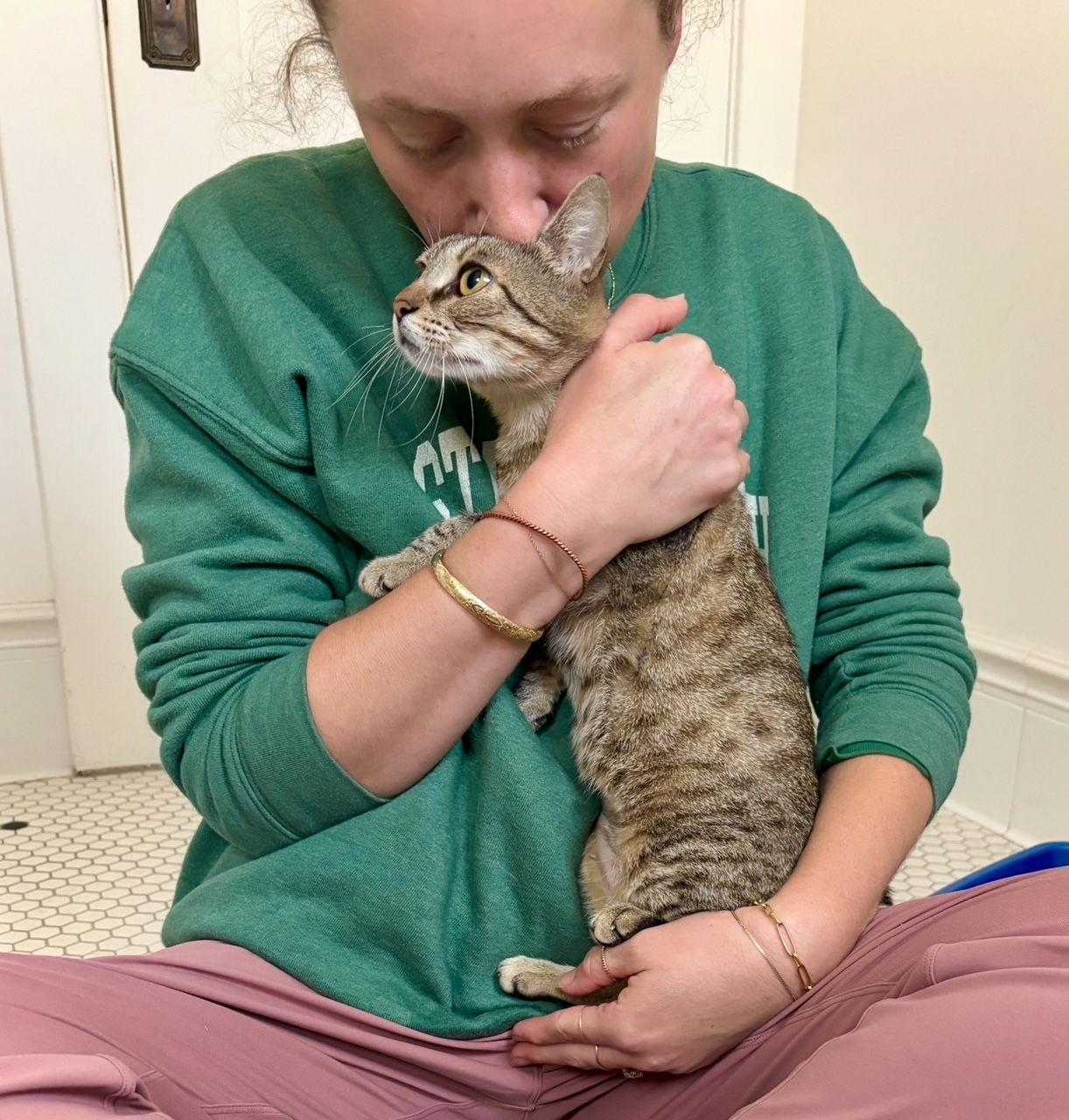 Enlarge Kanga & Roo, a Adopted Domestic Short Hair in Los Angeles, CA image 2/3