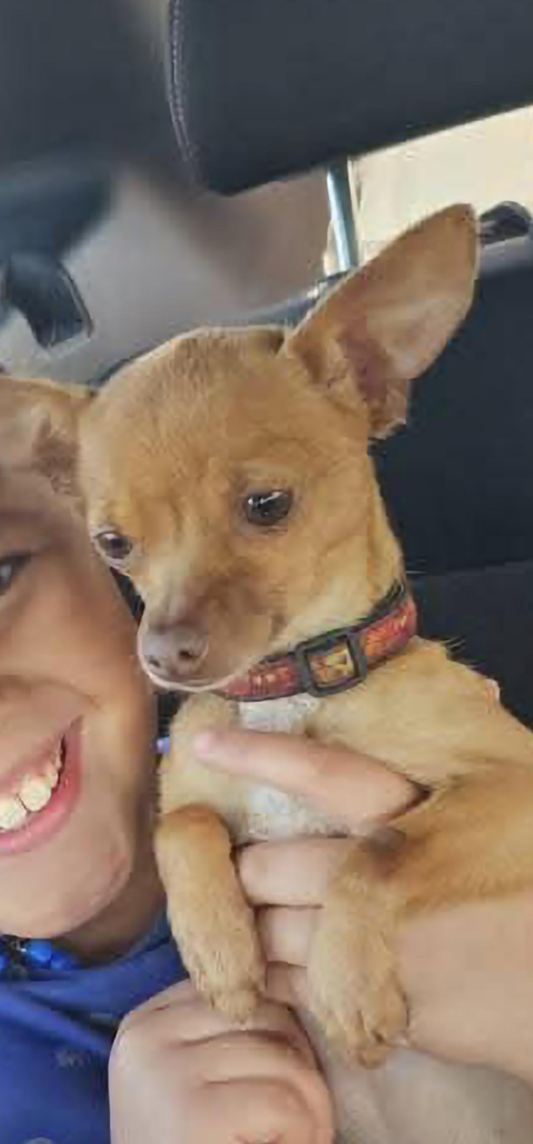 Coco