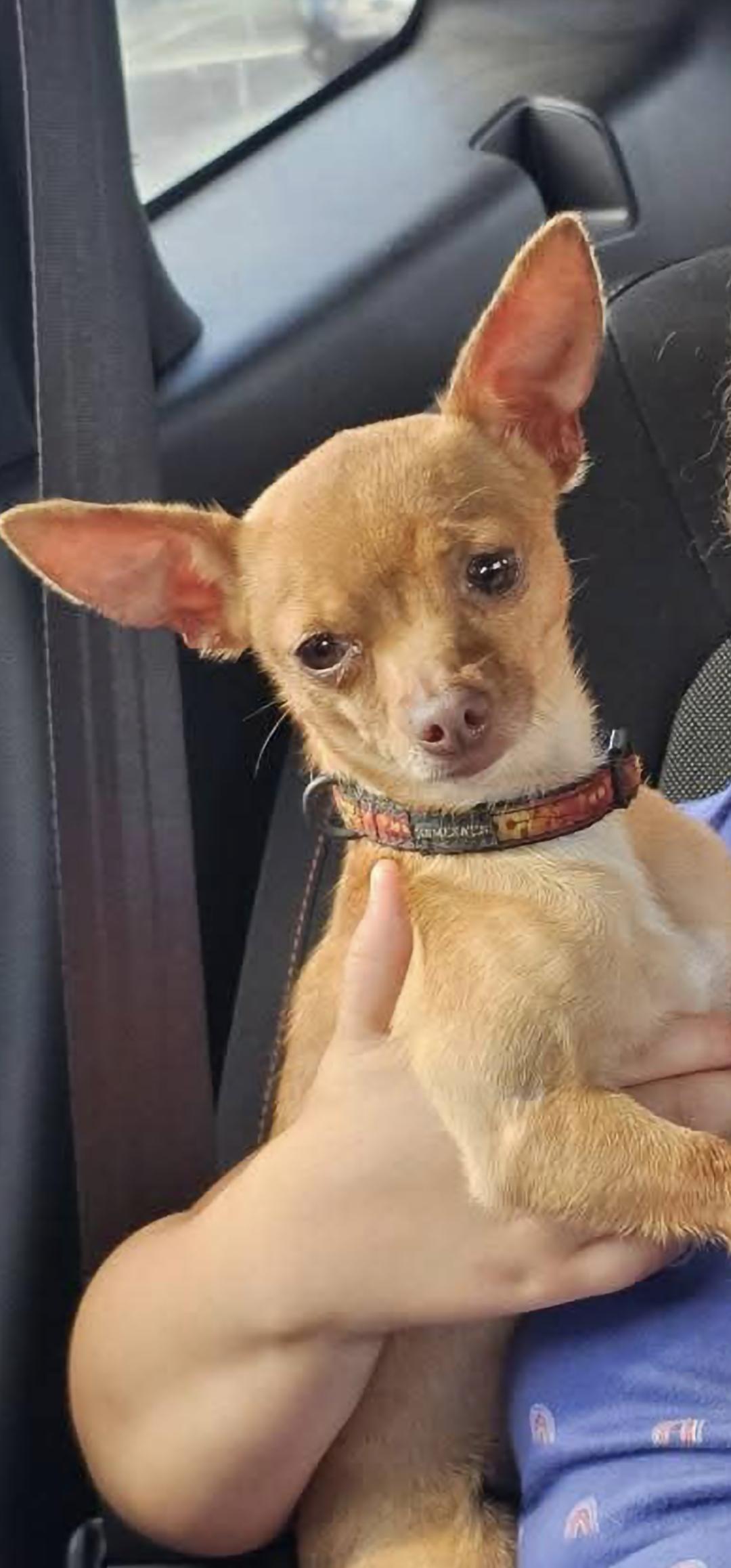 Coco