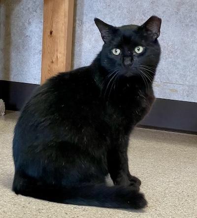 Kennedy — thumbnail 2