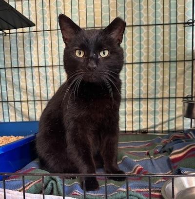 Kennedy — thumbnail 6