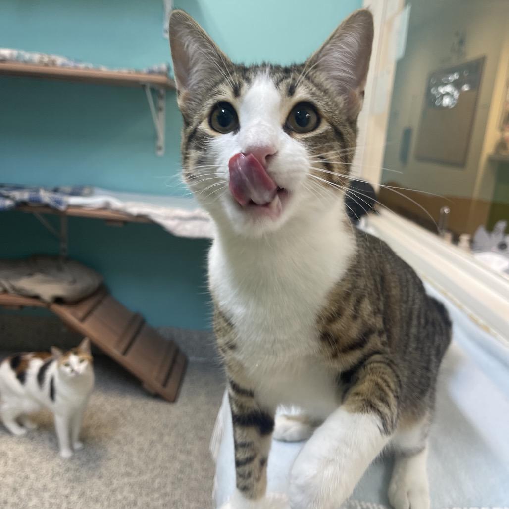 Timothy — thumbnail 2