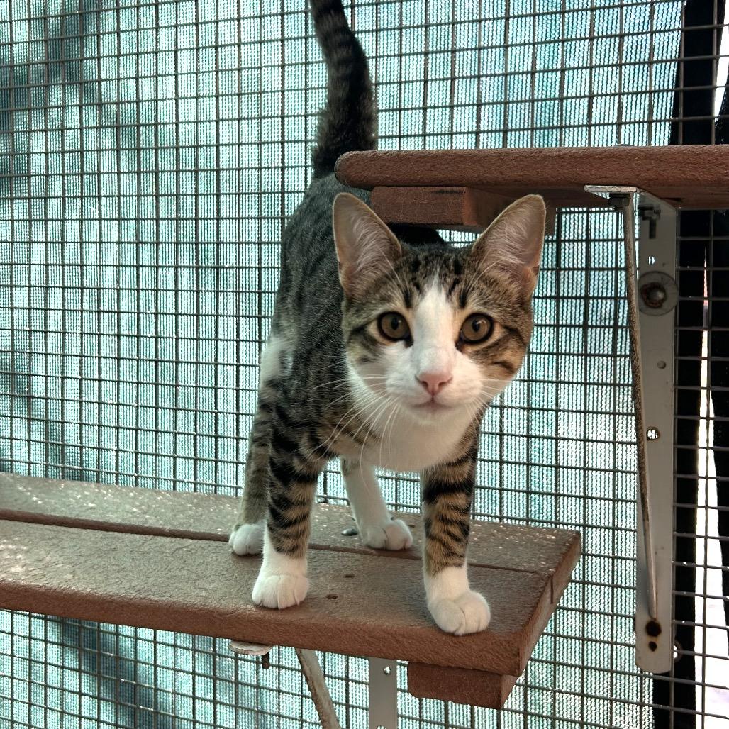 Timothy — thumbnail 4