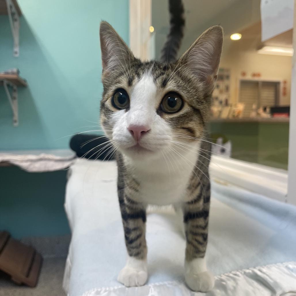 Timothy — thumbnail 5