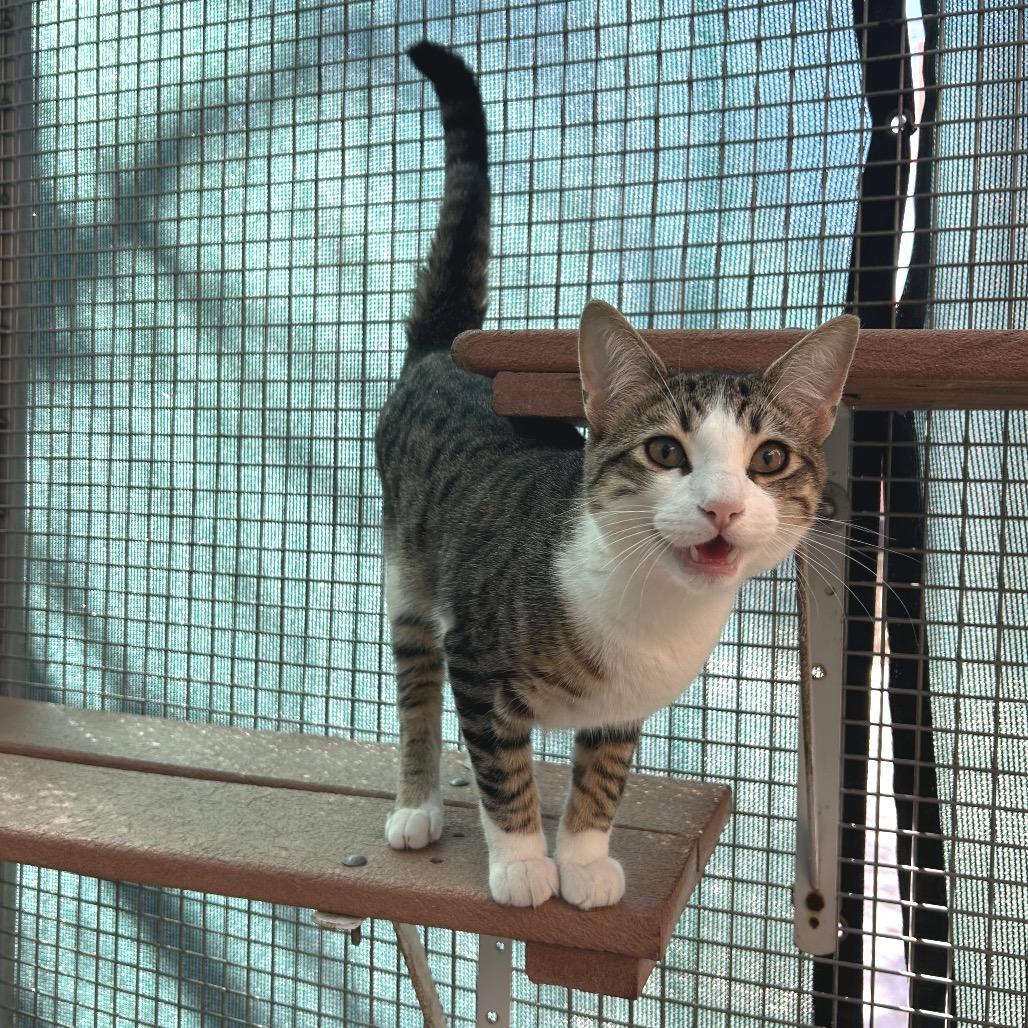 Timothy — thumbnail 6