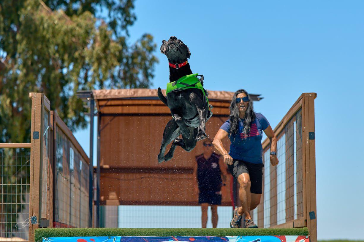 Atlas, a ADOPTABLE mixed breed in Santa Paula, CA image 2/4