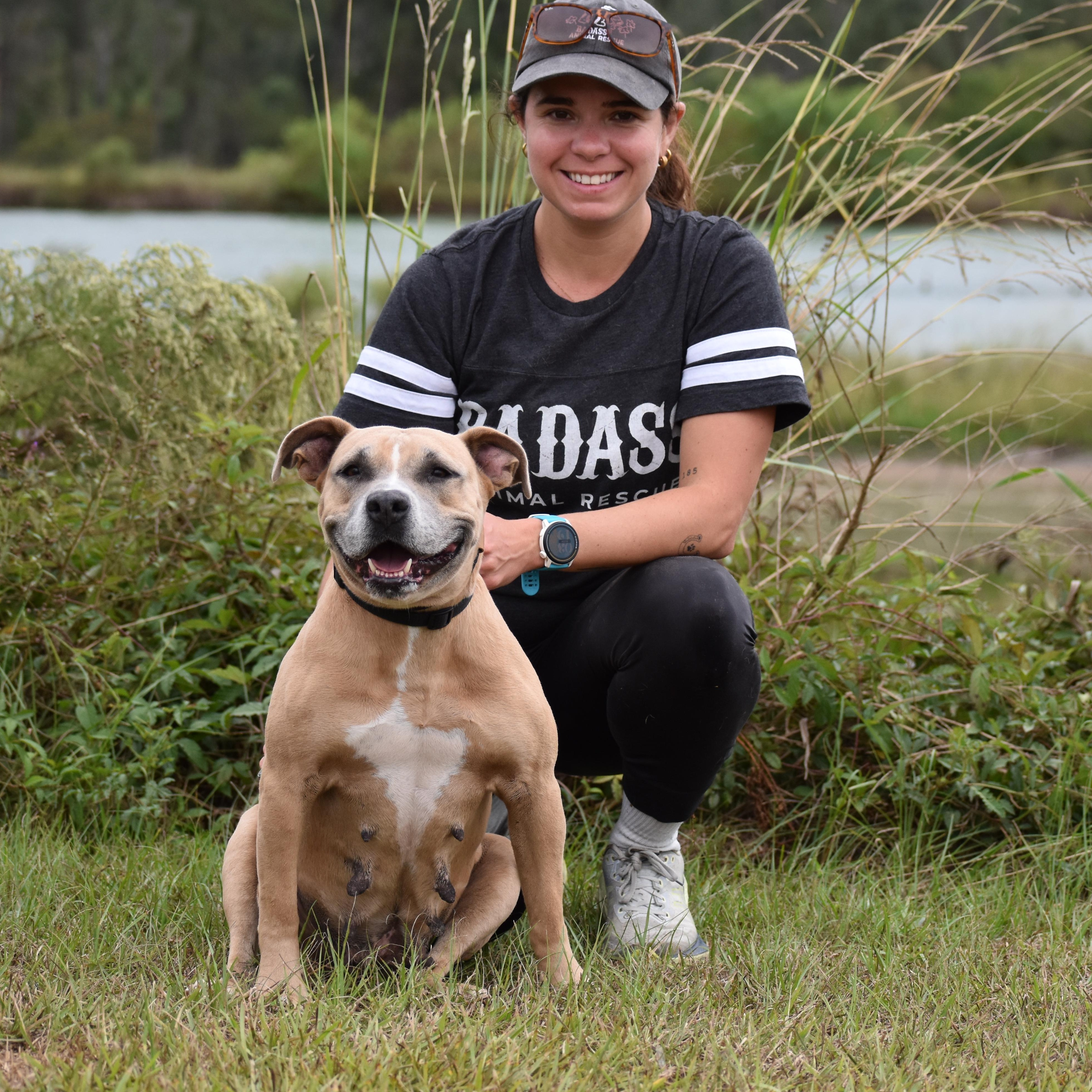 Enlarge  Shawn Johnson, a ADOPTABLE Pit Bull Terrier in Brooklyn, NY image 4/4