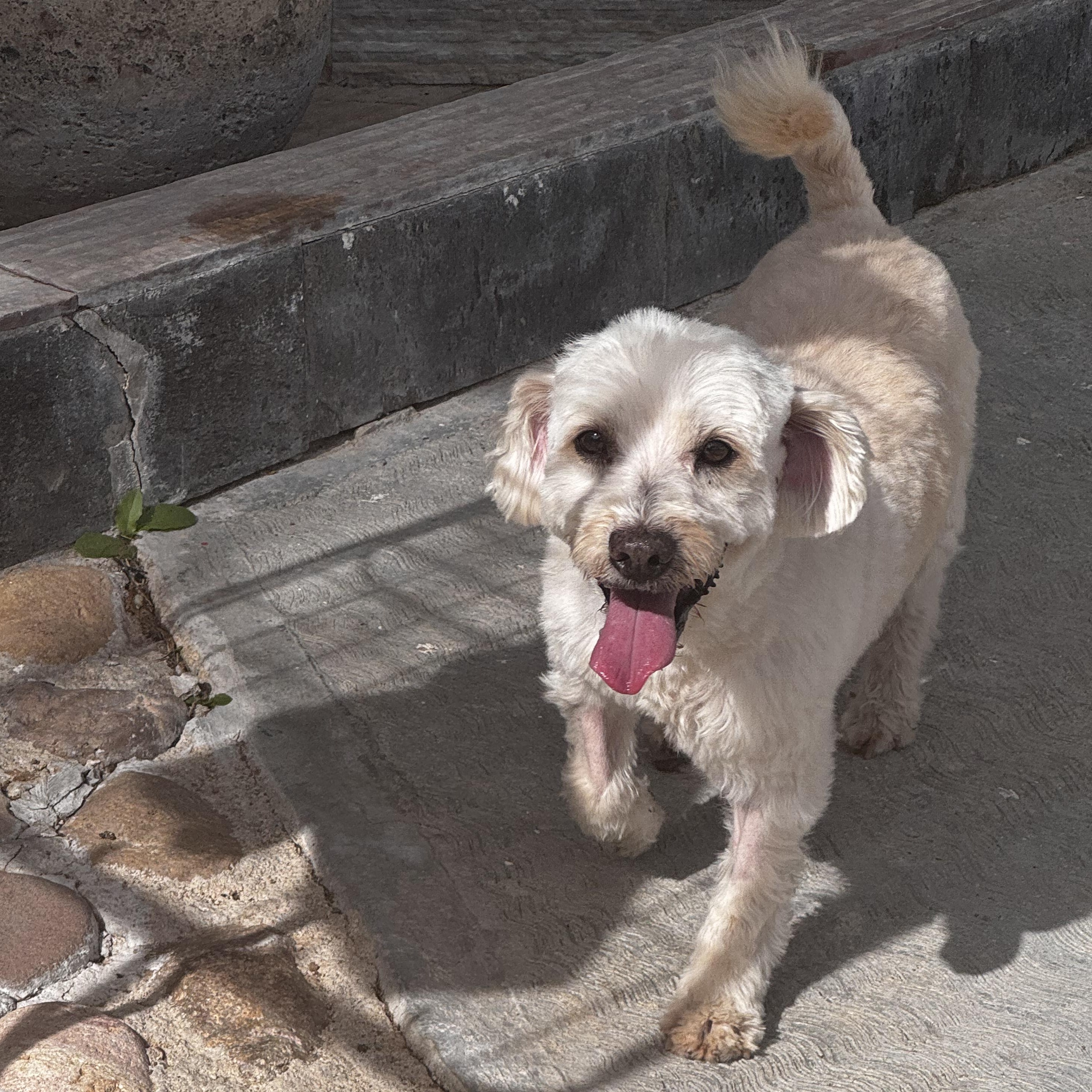 Snow — thumbnail 3