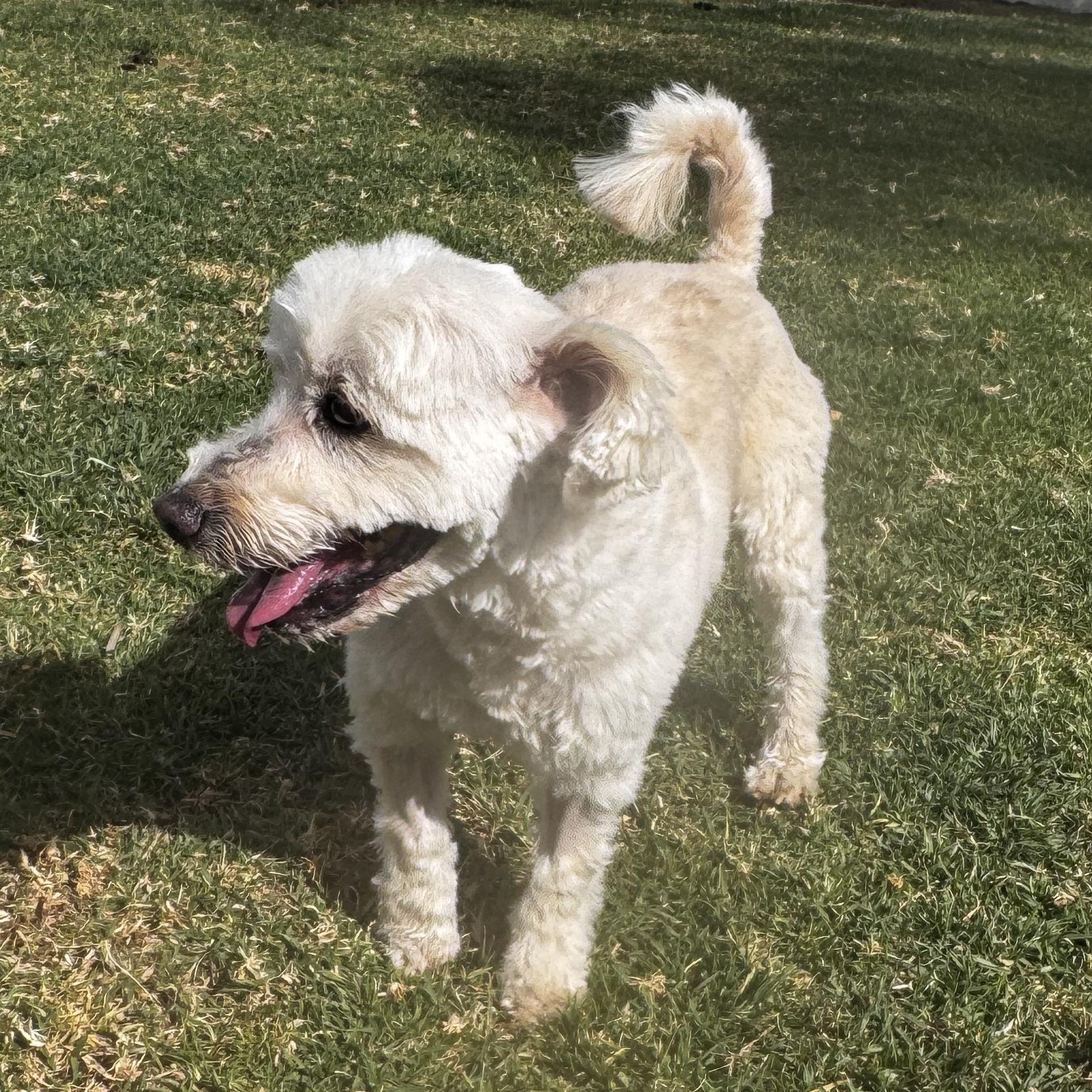 Snow — thumbnail 5