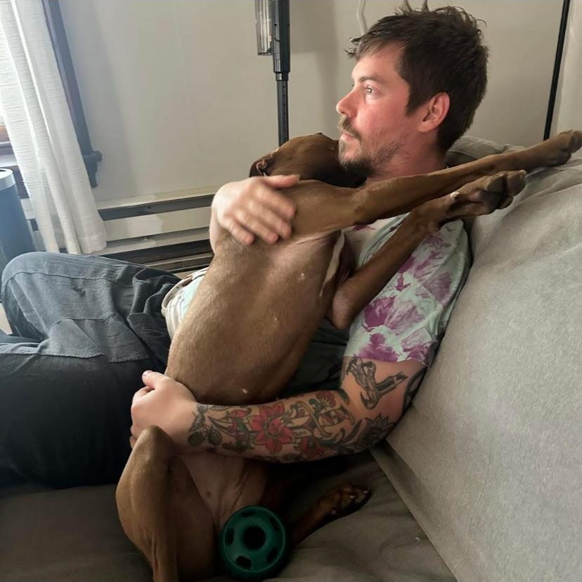Enlarge Fanta, a ADOPTABLE mixed breed in Philadelphia, PA image 5/6