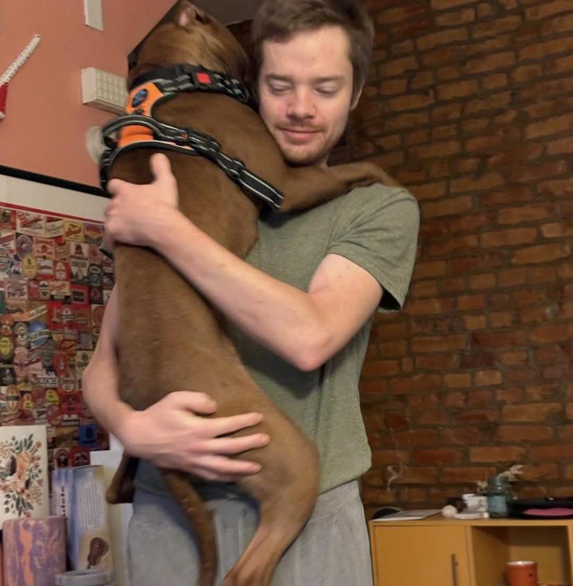 Fanta, a ADOPTABLE mixed breed in Philadelphia, PA image 4/6