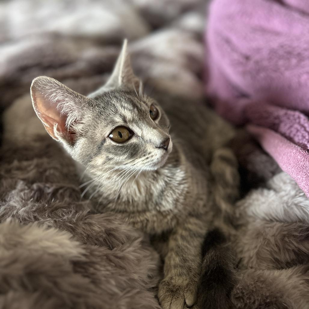 Thelma — thumbnail 2